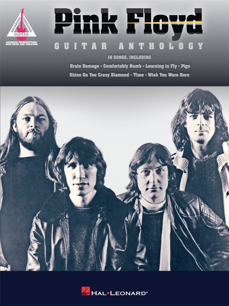 pink20floyd20gtr20anth.jpg