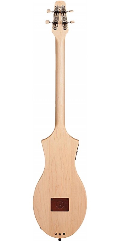 seagull-m4-spruce-eq-merlin-electro-back_1.jpg