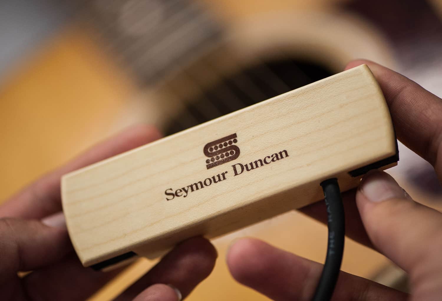 woody-hum-cancelling-maple_beauty.jpg